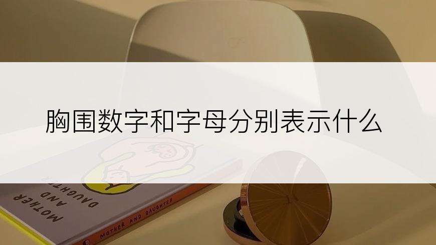 胸围数字和字母分别表示什么