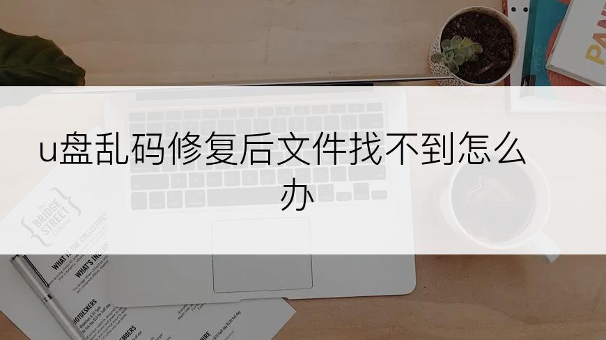 u盘乱码修复后文件找不到怎么办