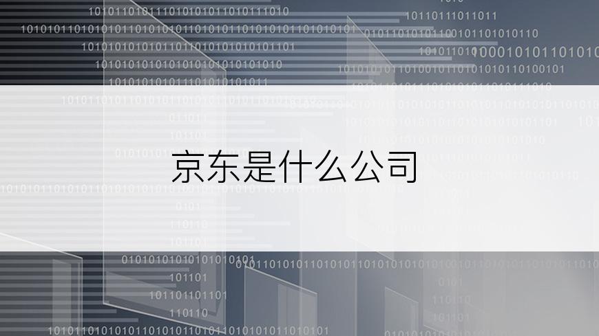 京东是什么公司