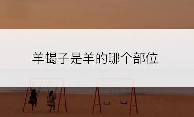 羊蝎子是羊的哪个部位