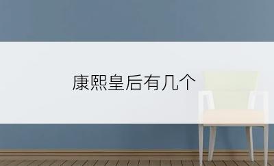 康熙皇后有几个
