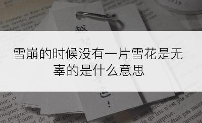 雪崩的时候没有一片雪花是无辜的是什么意思