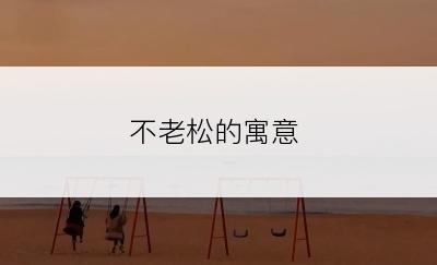 不老松的寓意