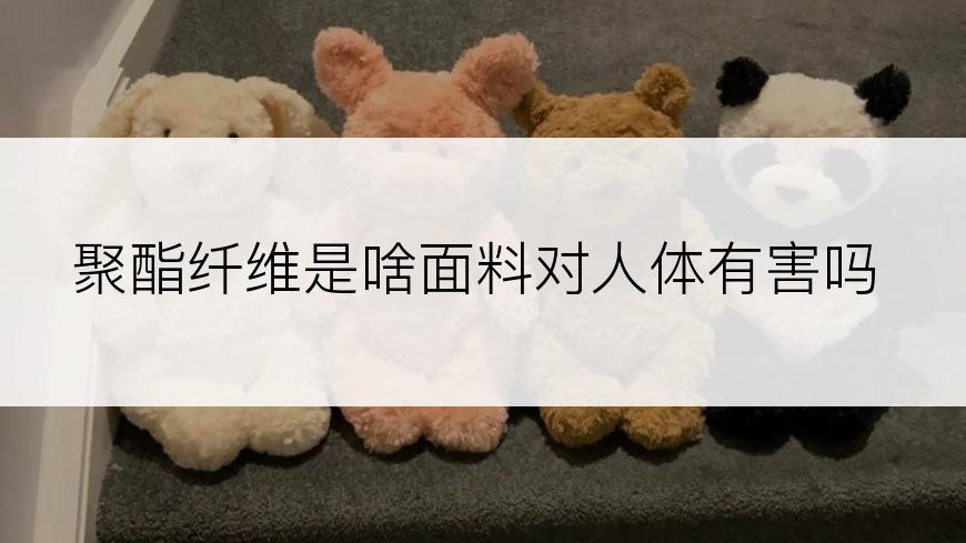 聚酯纤维是啥面料对人体有害吗