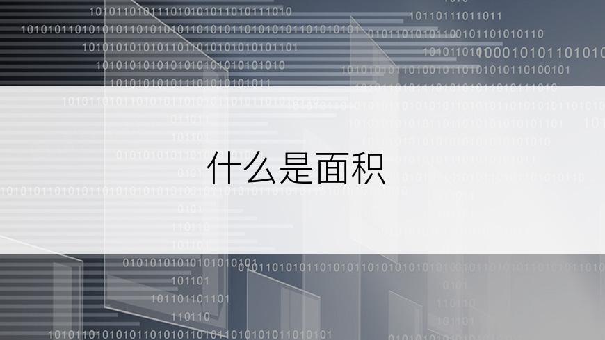 什么是面积