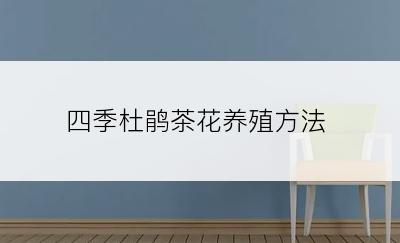 四季杜鹃茶花养殖方法