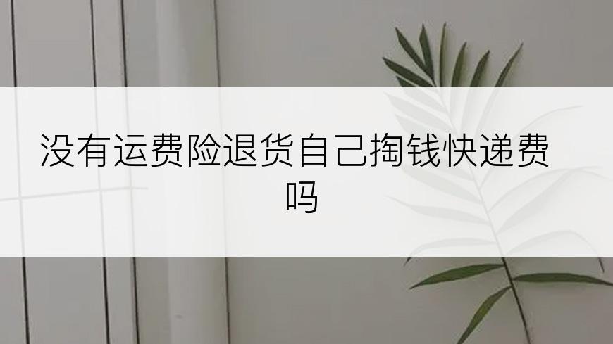 没有运费险退货自己掏钱快递费吗