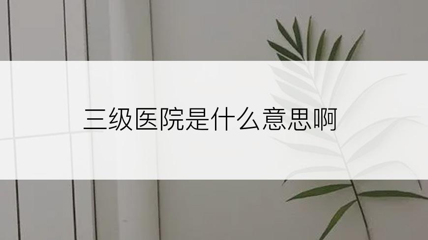 三级医院是什么意思啊