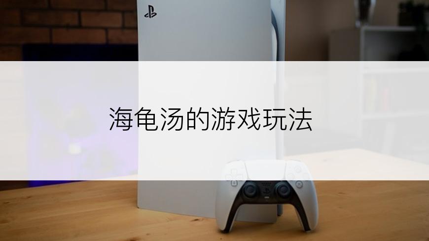 海龟汤的游戏玩法