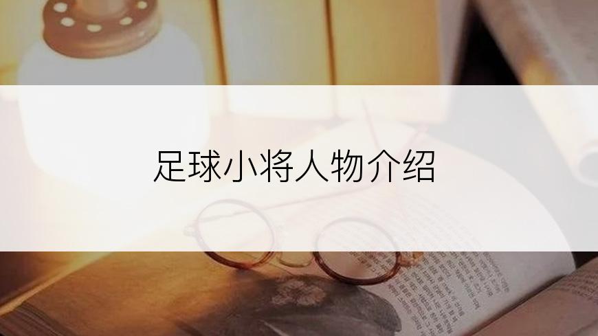 足球小将人物介绍