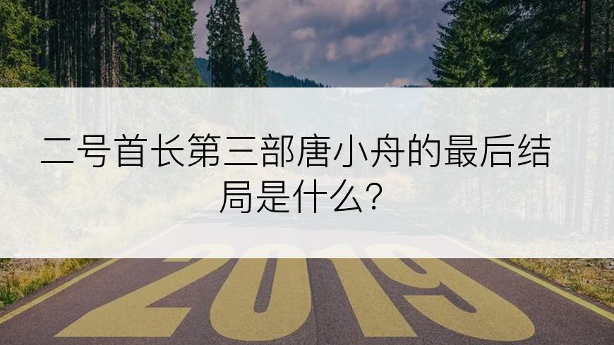二号首长第三部唐小舟的最后结局是什么？