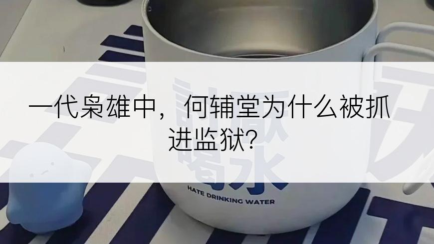 一代枭雄中，何辅堂为什么被抓进监狱？