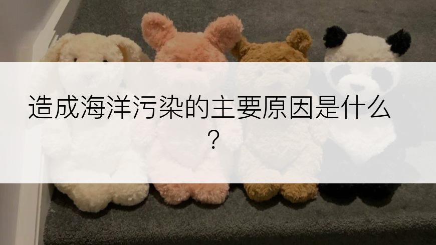 造成海洋污染的主要原因是什么？