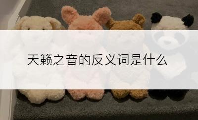 天籁之音的反义词是什么