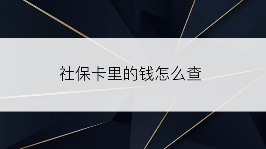 社保卡里的钱怎么查