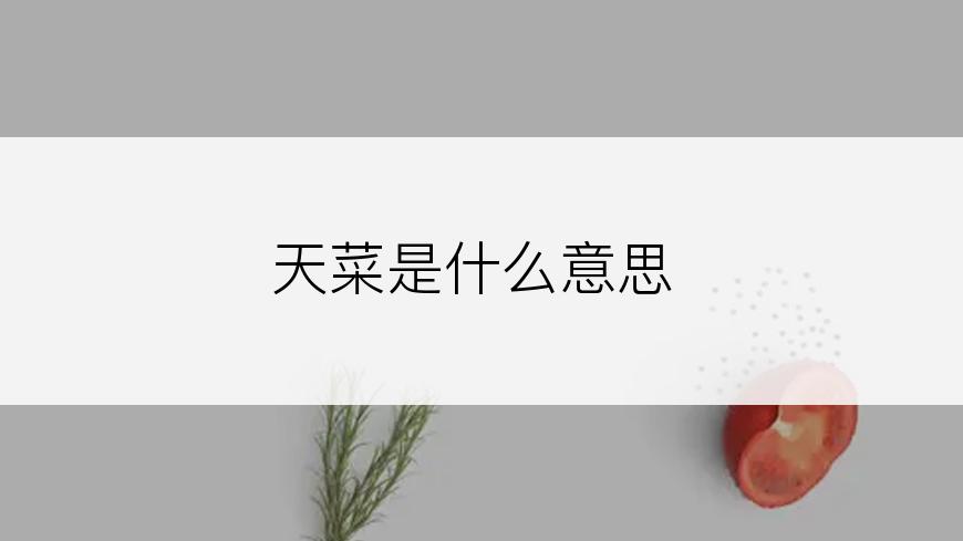 天菜是什么意思