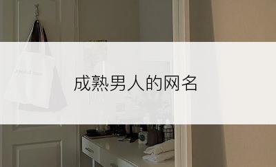 成熟男人的网名