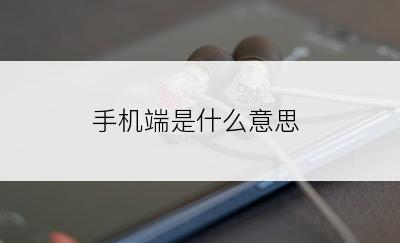 手机端是什么意思