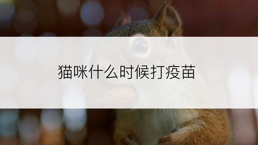 猫咪什么时候打疫苗