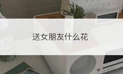 送女朋友什么花