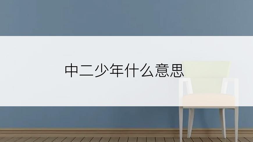中二少年什么意思