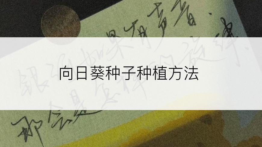 向日葵种子种植方法
