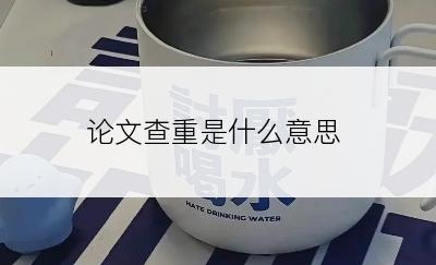 论文查重是什么意思