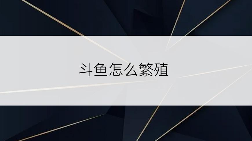 斗鱼怎么繁殖