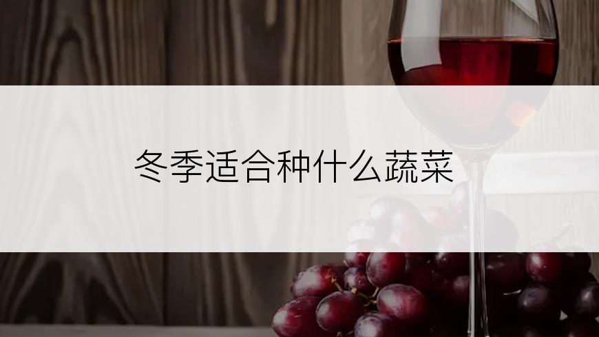 冬季适合种什么蔬菜