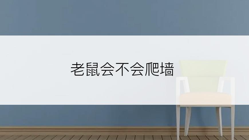 老鼠会不会爬墙