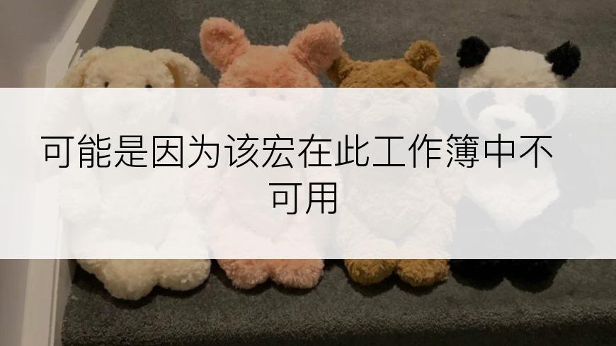 可能是因为该宏在此工作簿中不可用