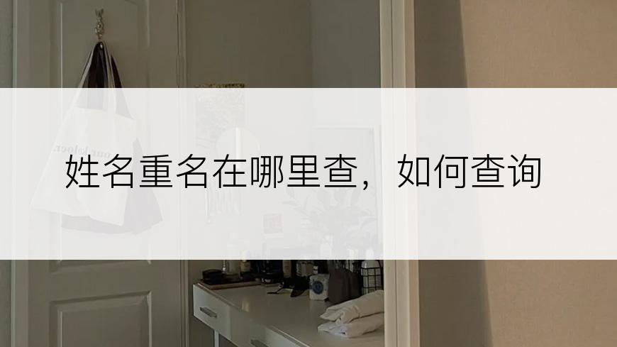 姓名重名在哪里查，如何查询