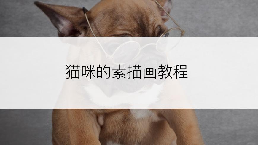猫咪的素描画教程