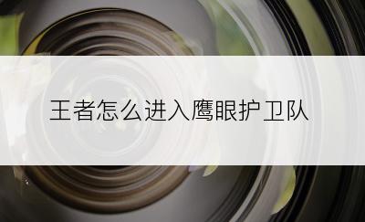 王者怎么进入鹰眼护卫队