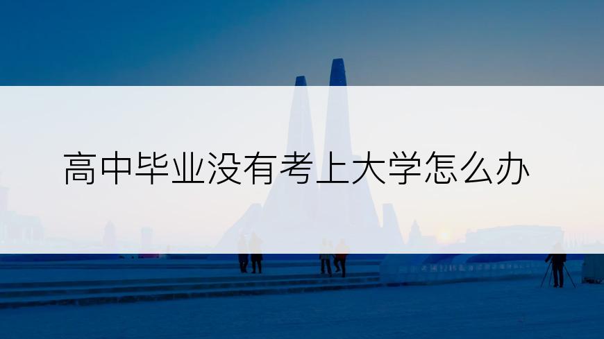 高中毕业没有考上大学怎么办