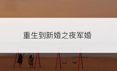 重生到新婚之夜军婚