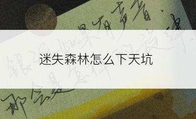 迷失森林怎么下天坑