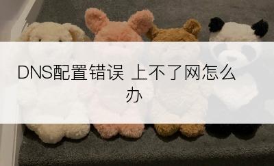 DNS配置错误 上不了网怎么办