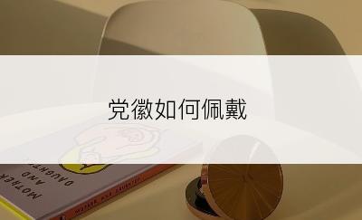 党徽如何佩戴