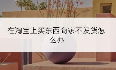 在淘宝上买东西商家不发货怎么办