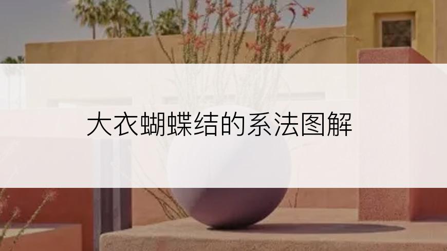 大衣蝴蝶结的系法图解