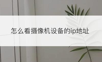 怎么看摄像机设备的ip地址
