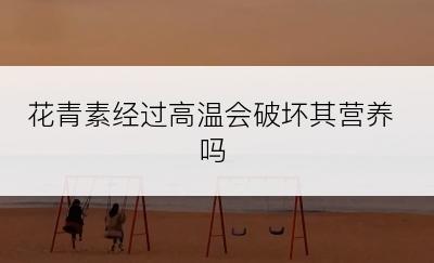 花青素经过高温会破坏其营养吗