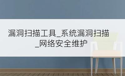 漏洞扫描工具_系统漏洞扫描_网络安全维护