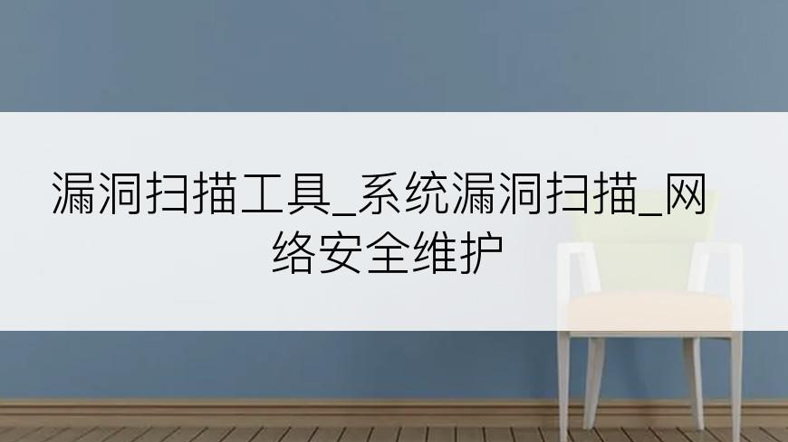漏洞扫描工具_系统漏洞扫描_网络安全维护