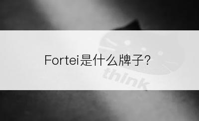 Fortei是什么牌子？
