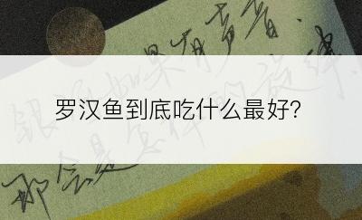 罗汉鱼到底吃什么最好？