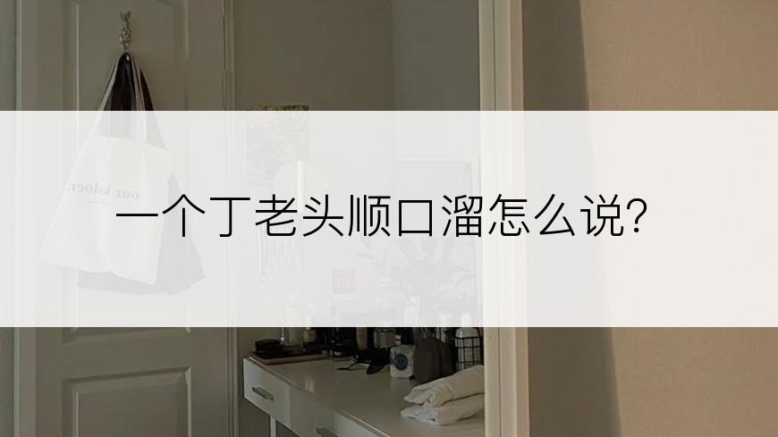 一个丁老头顺口溜怎么说？