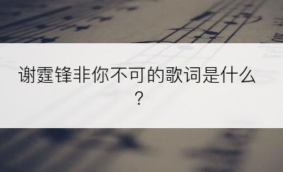 谢霆锋非你不可的歌词是什么？