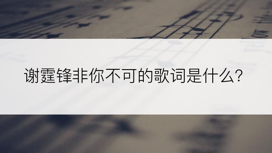 谢霆锋非你不可的歌词是什么？